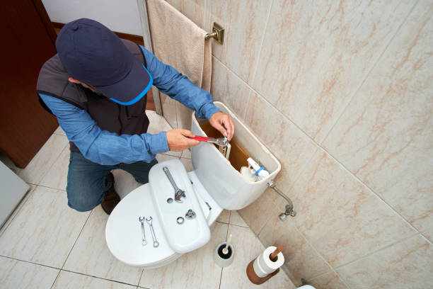 Best Local Plumber Services  in Forest, OH