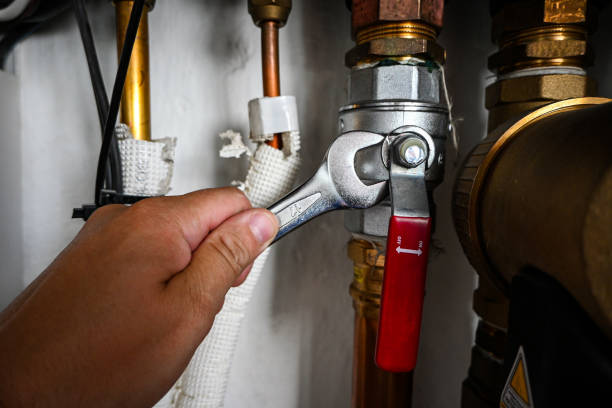 Best Water Heater Repair  in Forest, OH
